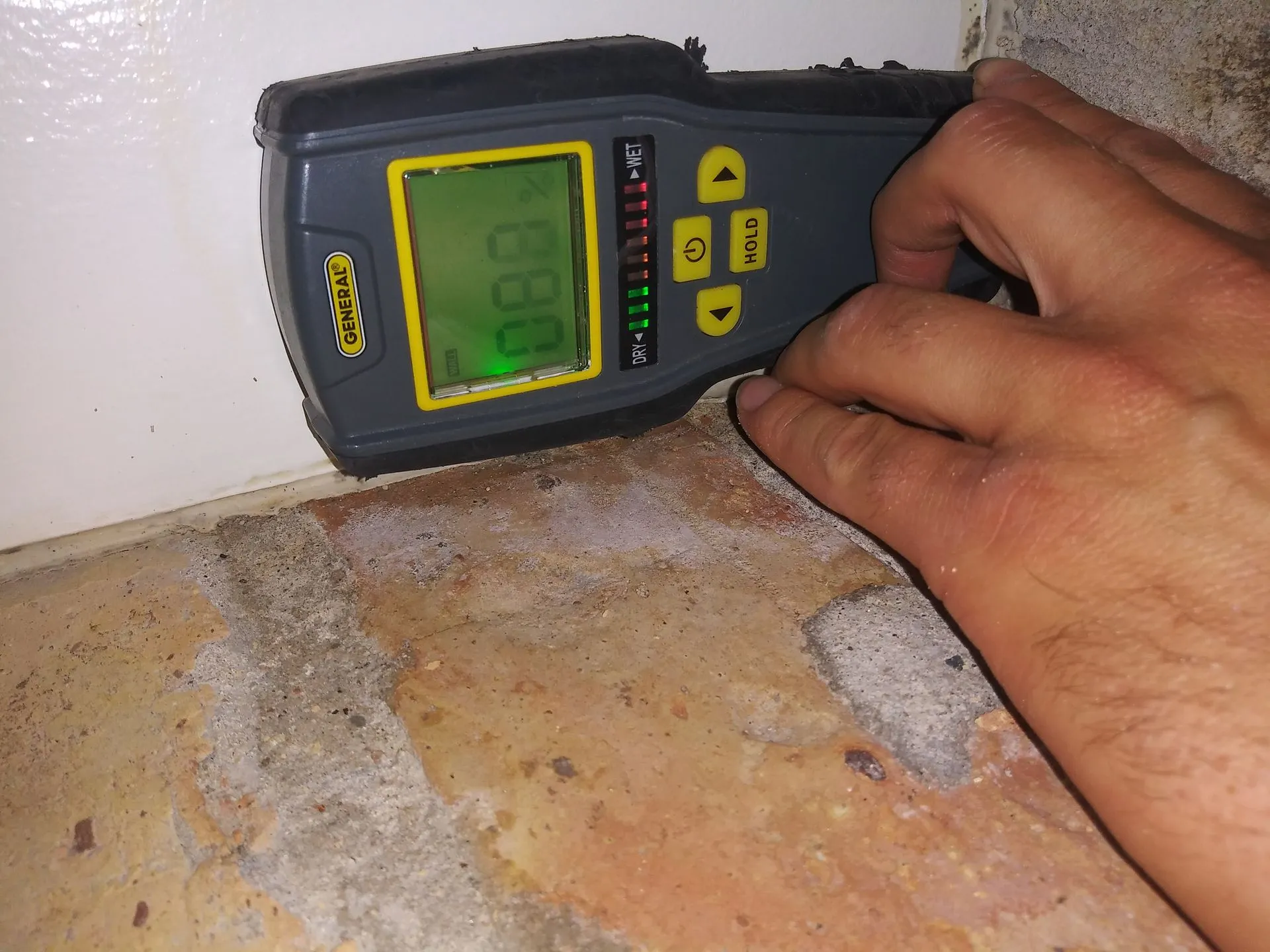 Simply Mold Gone Image