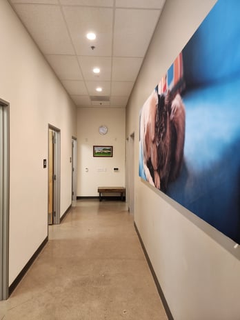 Images Vetco Total Care Animal Hospital