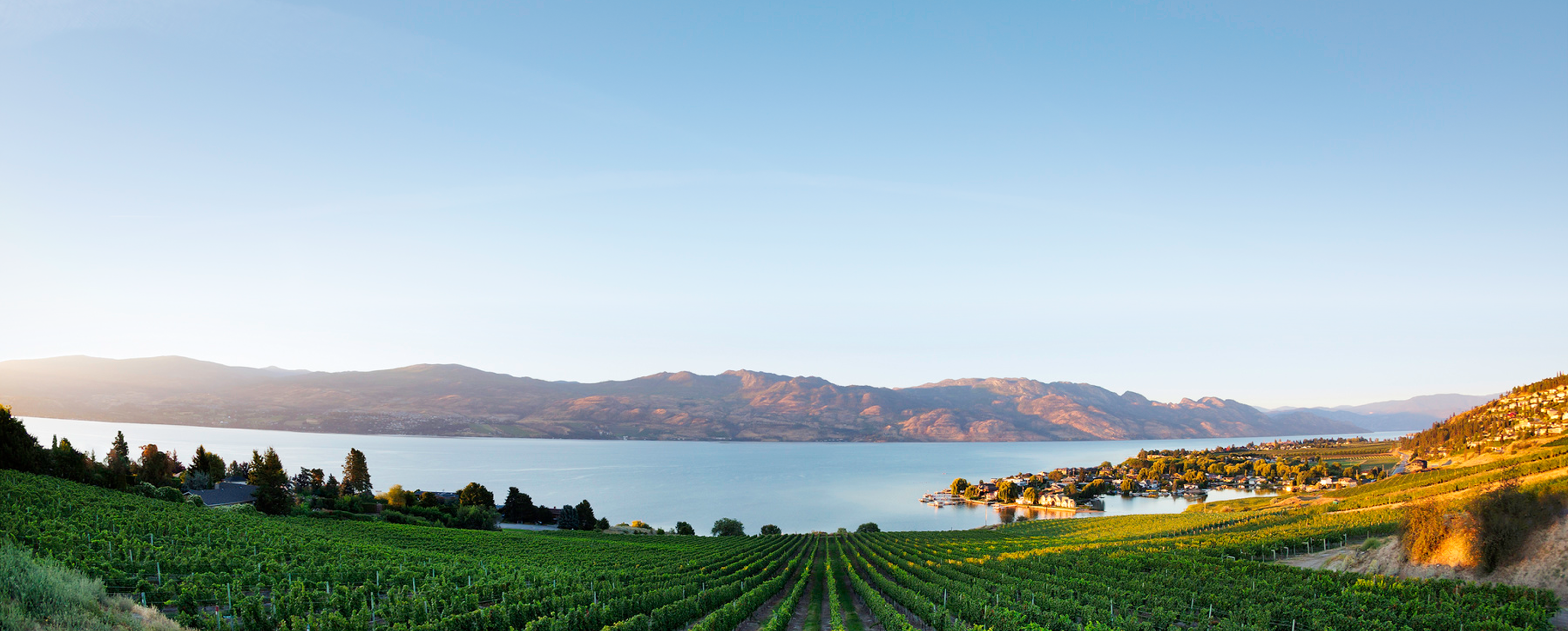 A winery in the Okanagan Valley.