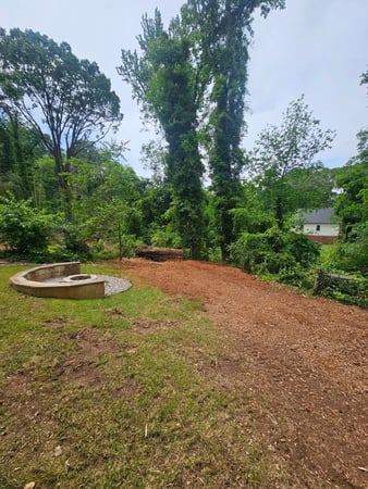 Images Sasquatch Tree Services