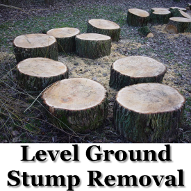 Level Ground Stump Removal
