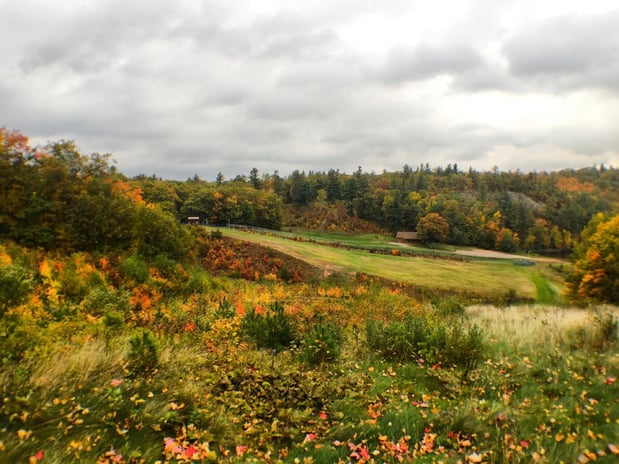 Images Staybridge Suites Marquette by IHG