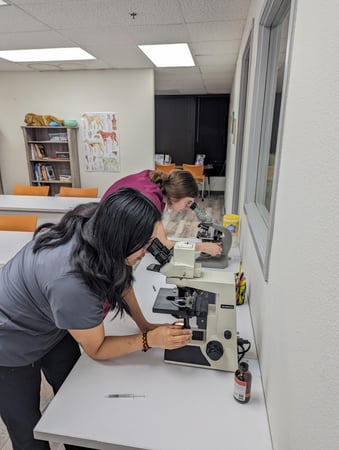 Images OC Veterinary Assistant School - Lake Forest, CA