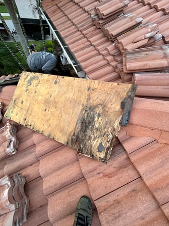 Images Red Pros Roofing, Inc