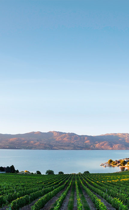 A winery in the Okanagan Valley.