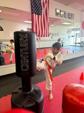 Images Jaguar Dojo