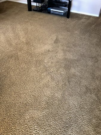 Images Carpet Pro Carpet Cleaning & Dyeing