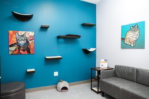 Images PetVet365 Pet Hospital Denver - Highlands Ranch