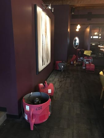 Images PuroClean of Western Milwaukee