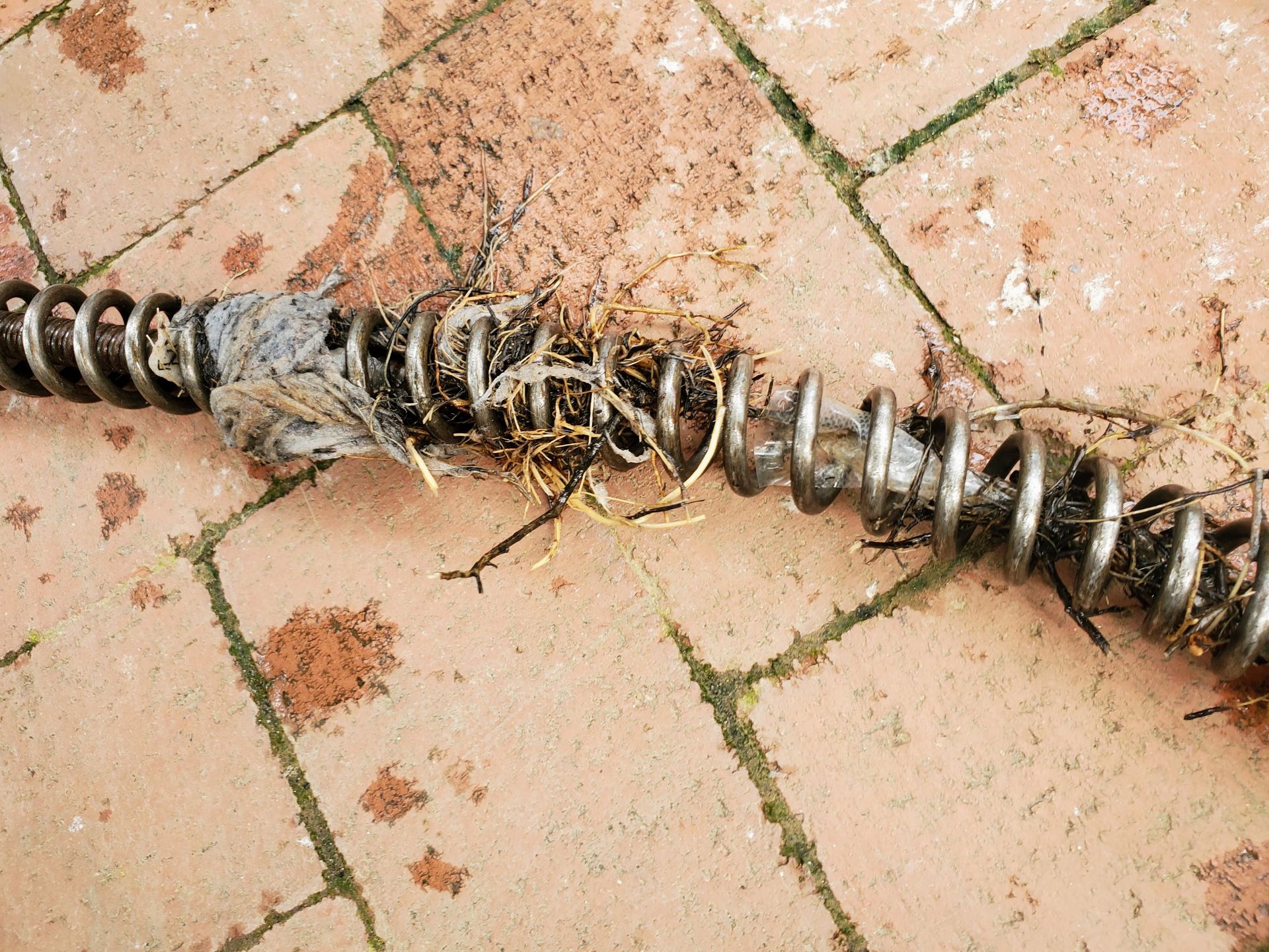 Drain auger placed on brick surface, tangled with roots, debris, and buildup removed from pipe, demonstrating severe outdoor blockage and effectiveness of professional drain cleaning and root intrusion removal service.