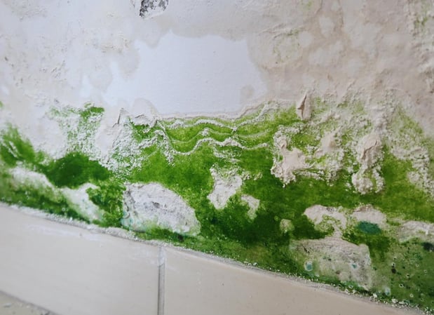 Images Water Mold Fire Restoration & Plumbing of Fort Lauderdale