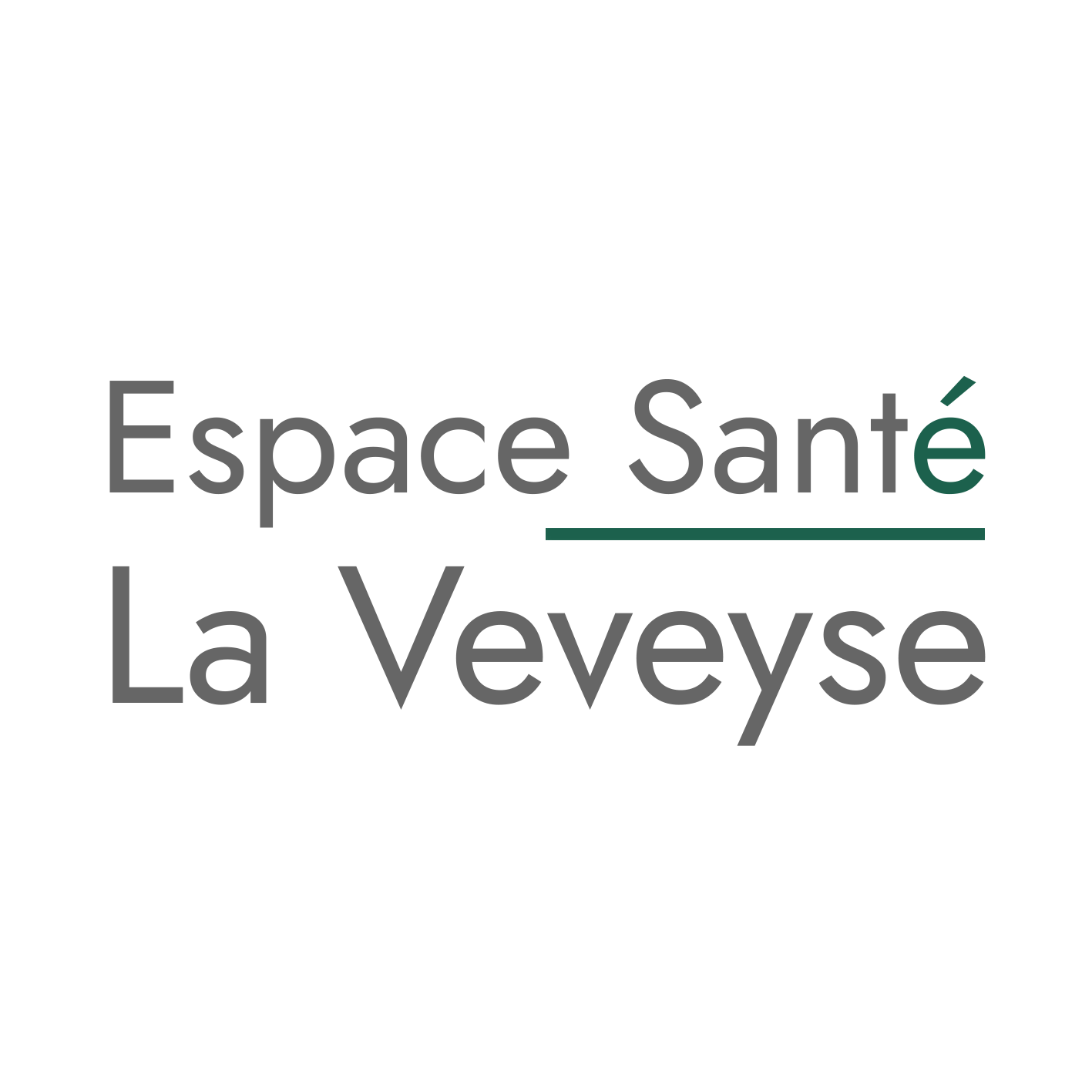 Espace Santé - La Veveyse Logo