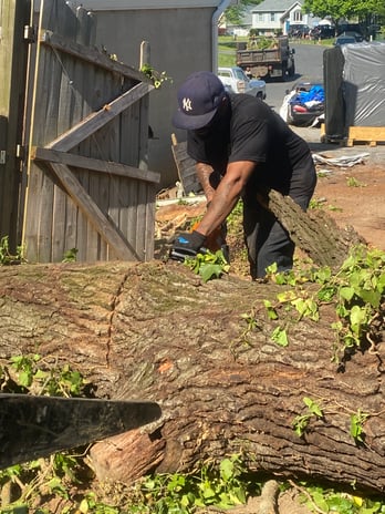 Images Fine Cut & Trim