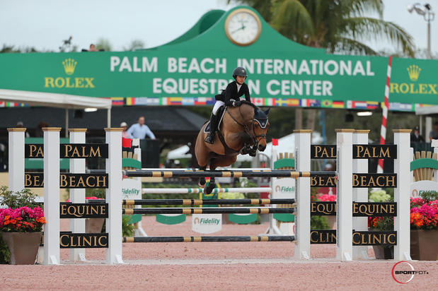 Images Palm Beach Equine Clinic
