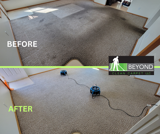 Images Beyond Clean Carpet LLC