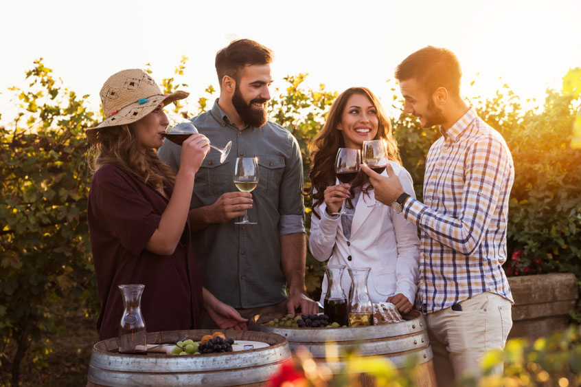 Premier Wine Tour Temecula