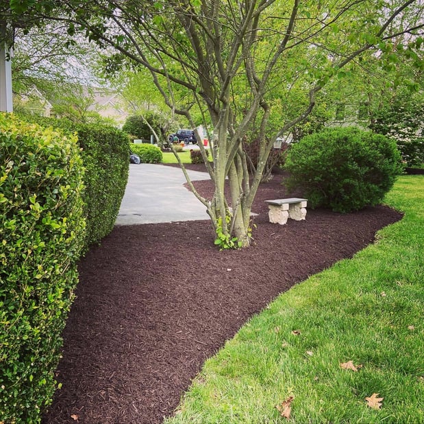 Images Barr Landscaping