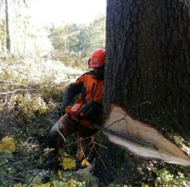Images Metsä Matikainen Oy