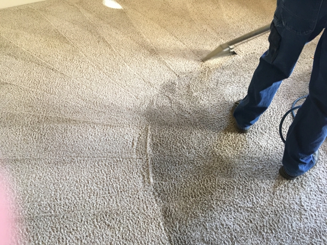Images Real Clean Carpet & Upholstery Cleaning