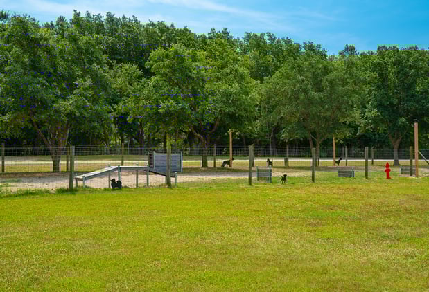 Images Harbor Point Campground
