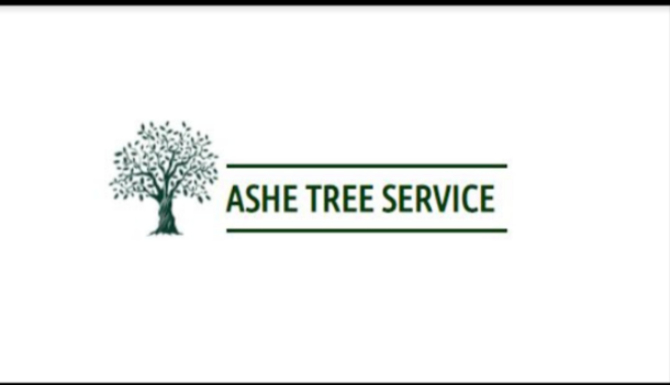 ASHE Tree Service Image