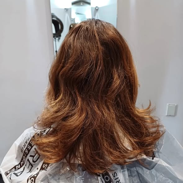 Images Mario Cecchini Group