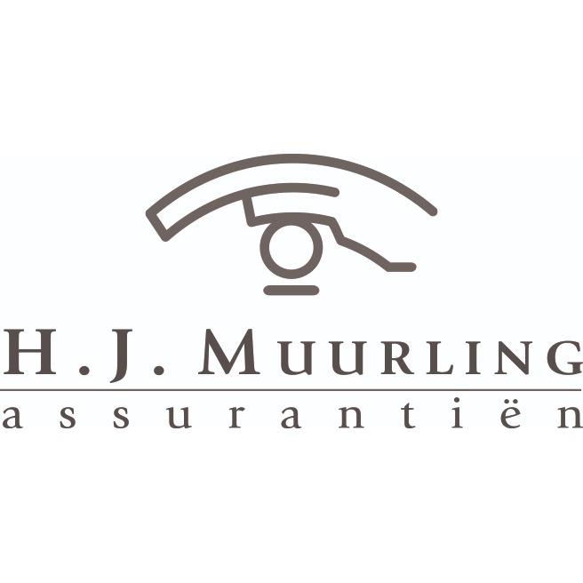 Assurantiën H J Muurling Logo