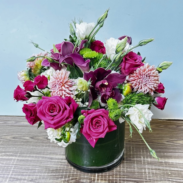 Images Jane's Roses & Flowers