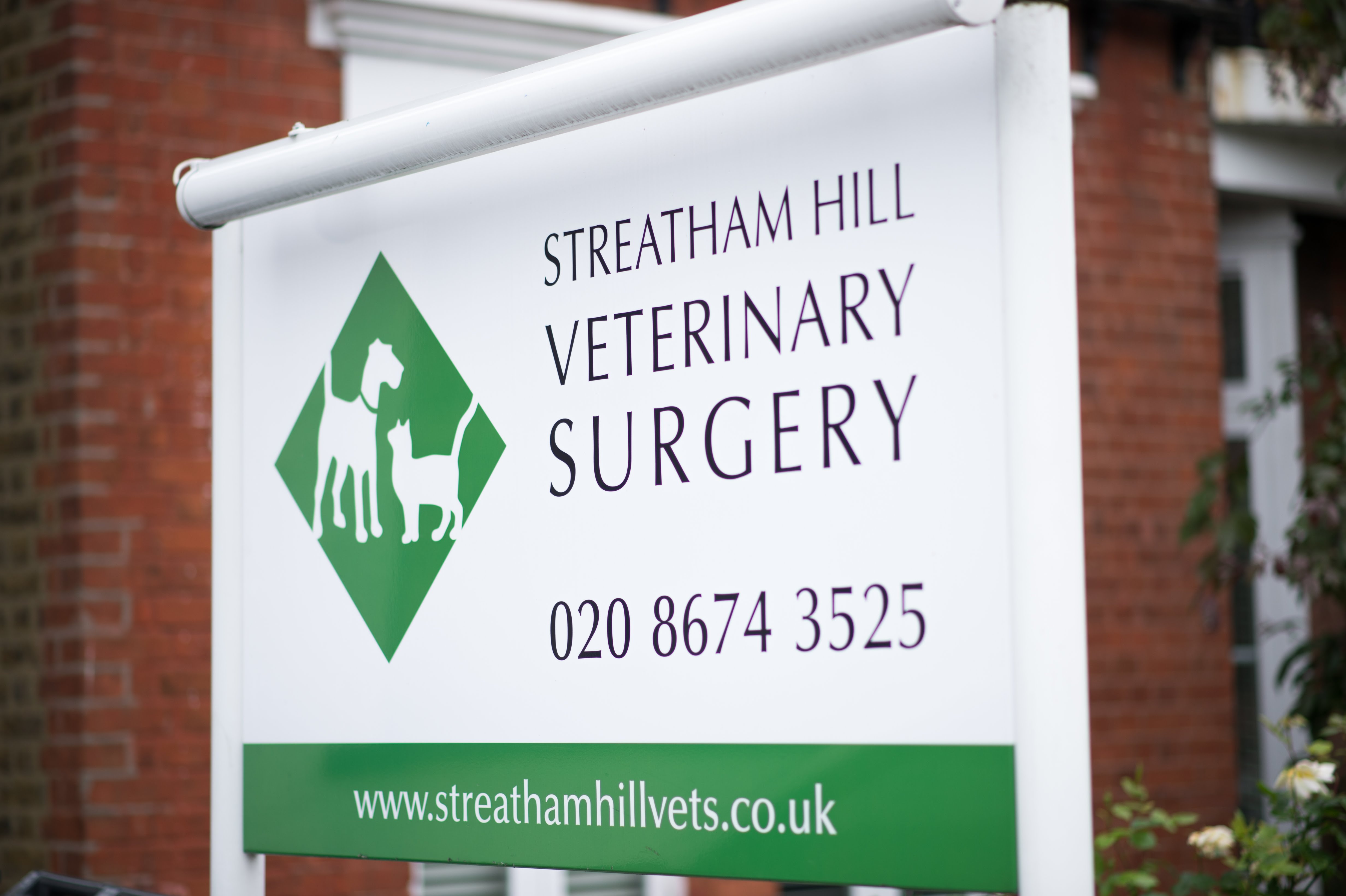 Images Streatham Hill Veterinary Surgery