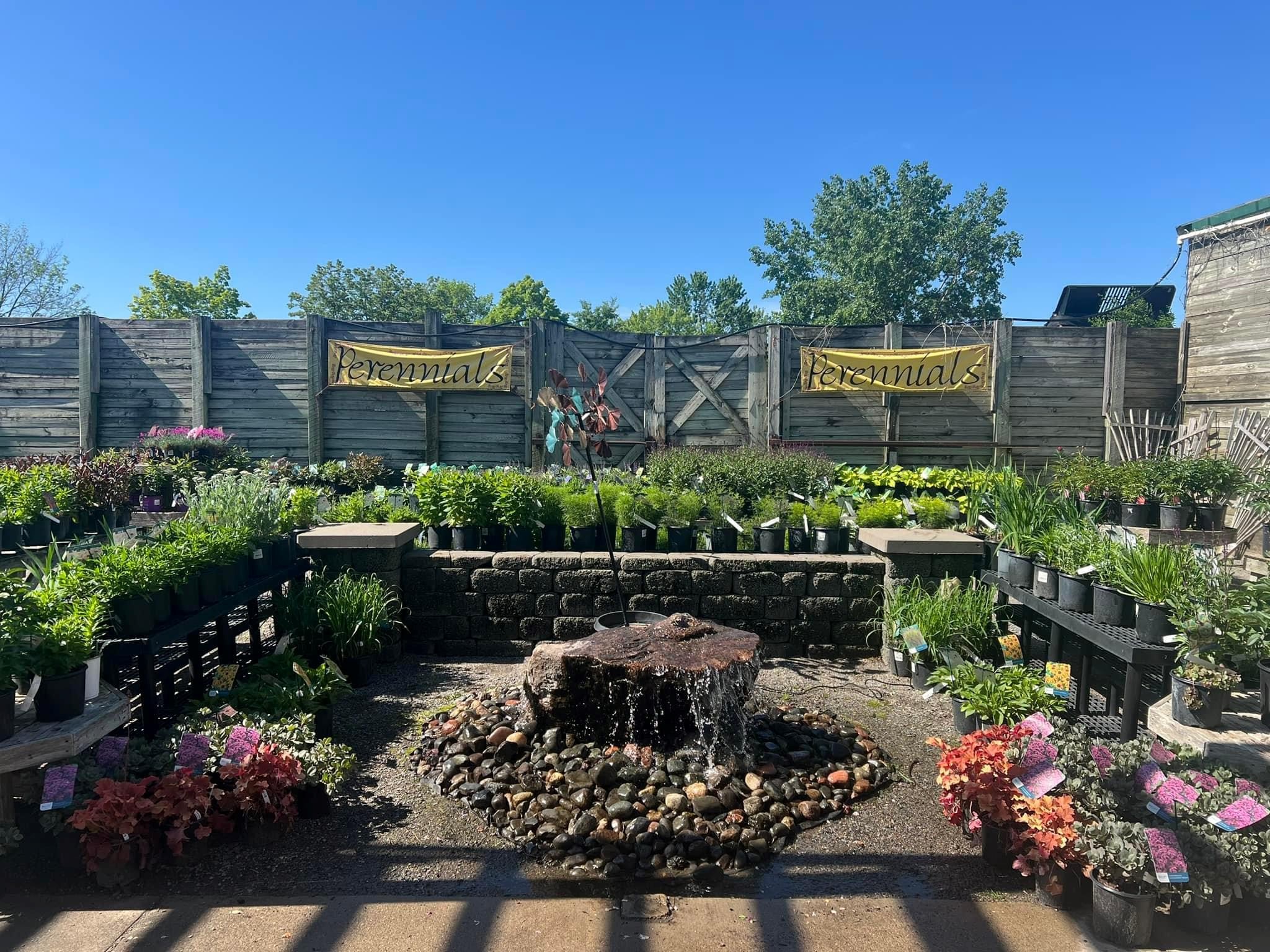 Steve's Elk River Nursery Image