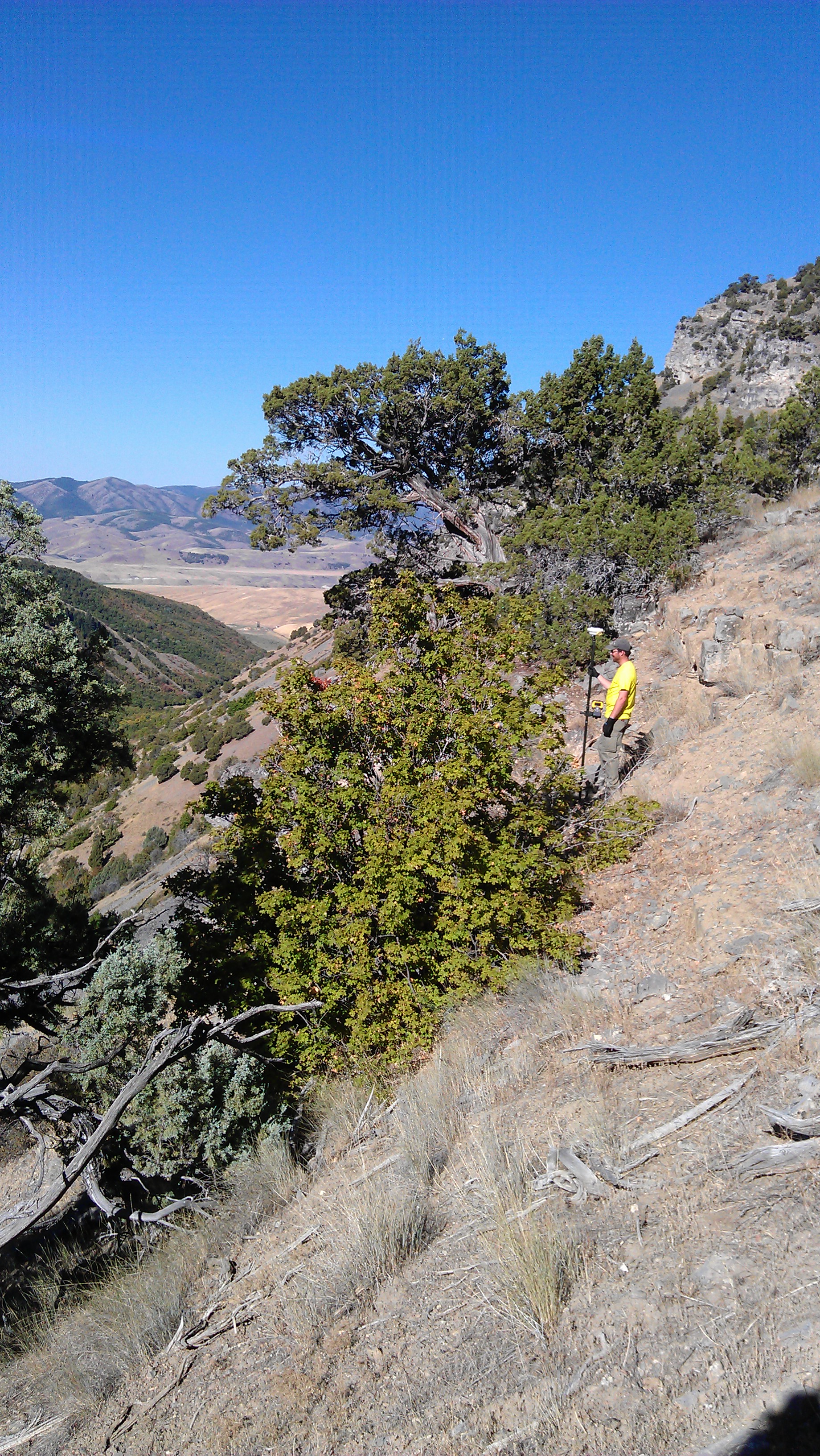 Boundary Consultants Professional Land Surveyors has been providing Utahans with quality surveys for over 20 years. Call us or fill out our contact form for a free quote.