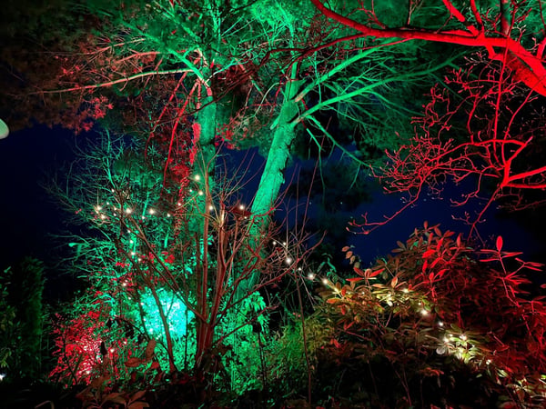 GPM Entertainment - DJ Münster DJ Münster bietet dekorative Lichtinstallationen im Außenbereich. Rote und grüne Illumination schafft festliche Eventatmosphäre.