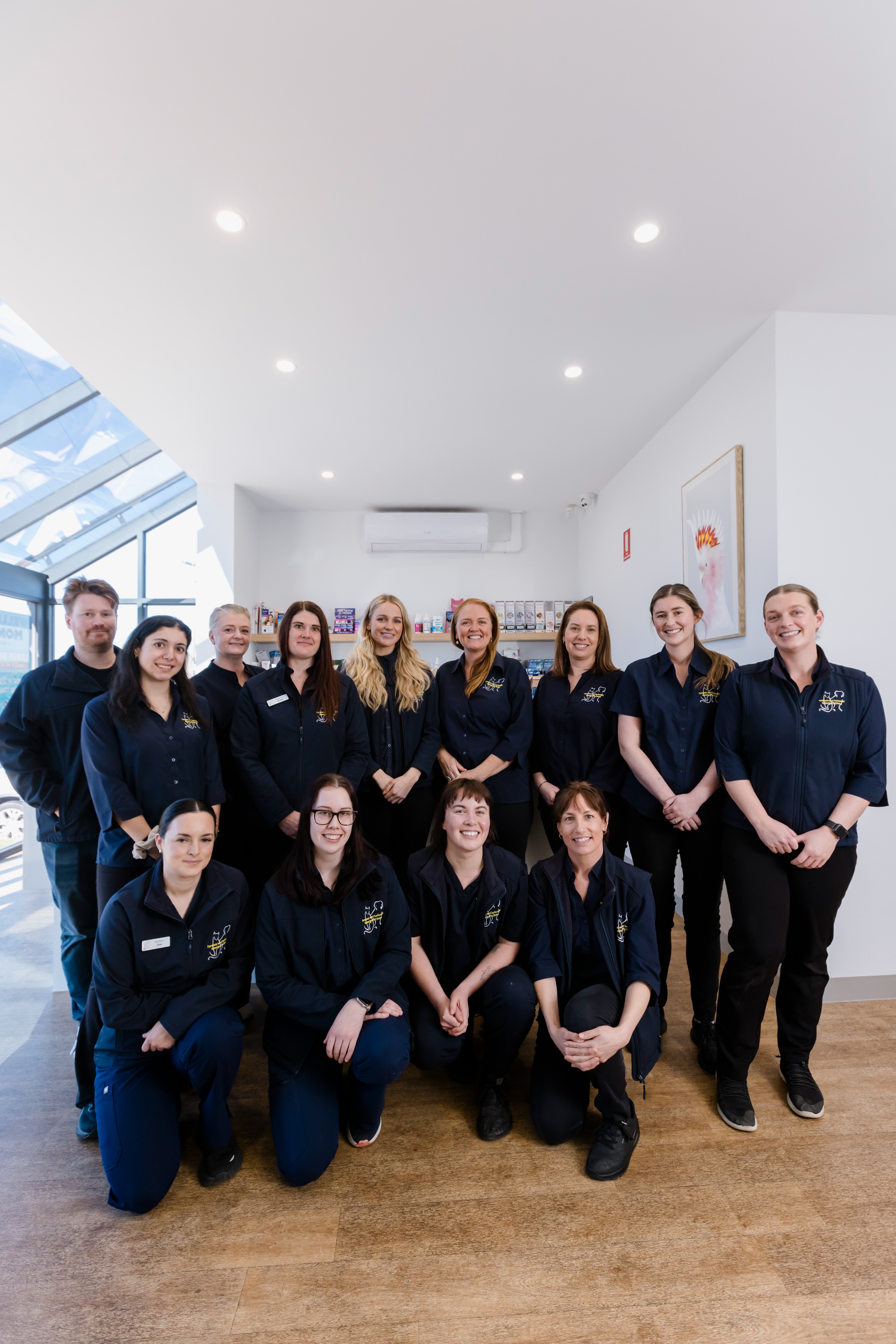 Images Torquay and Surfcoast Veterinary Clinics
