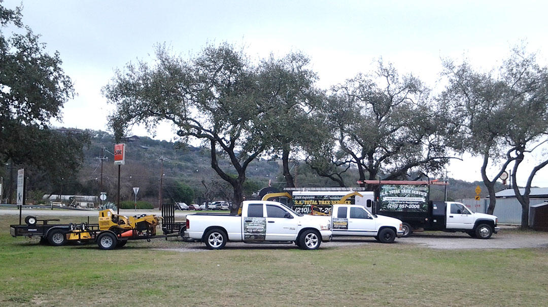 SA Total Tree Service Photo