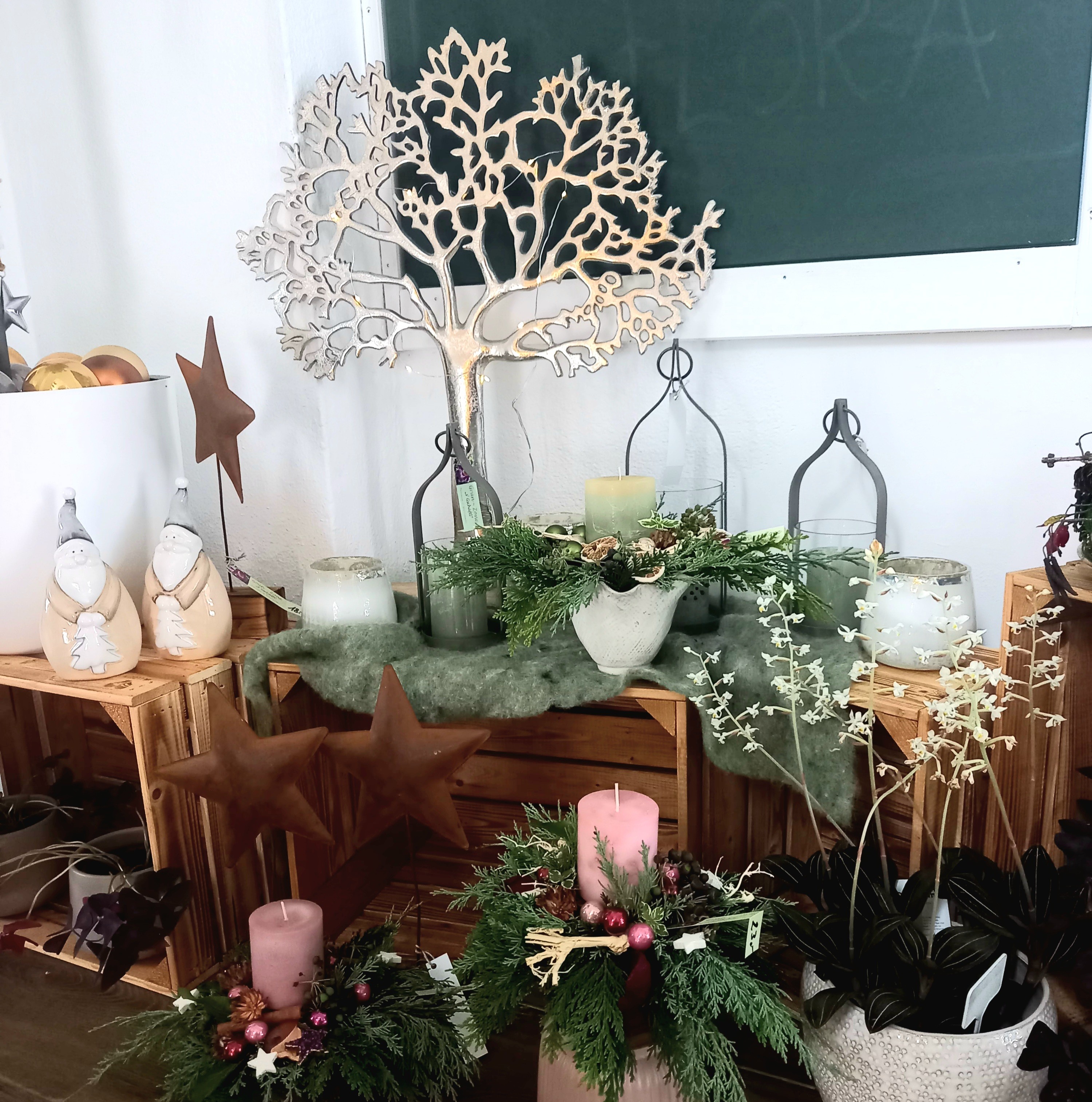 Bild 57 von Grün-Zone