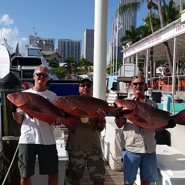 Images Capt Jimmy Lewis Live Bait
