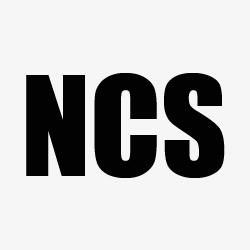 Netburg Consulting Services Logo