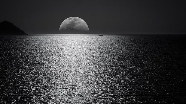 Images Espresso Moon LLC