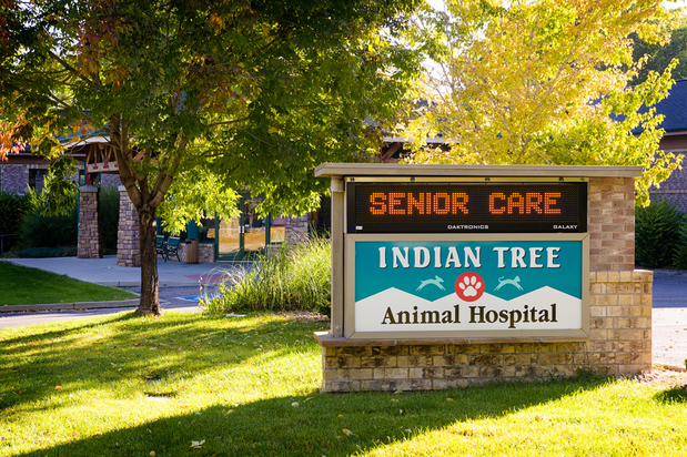 Images Indian Tree Animal Hospital