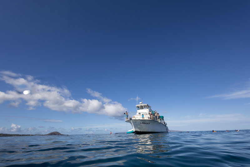 Maui Snorkeling Lani Kai in open Pacific waters near Molokini Crater