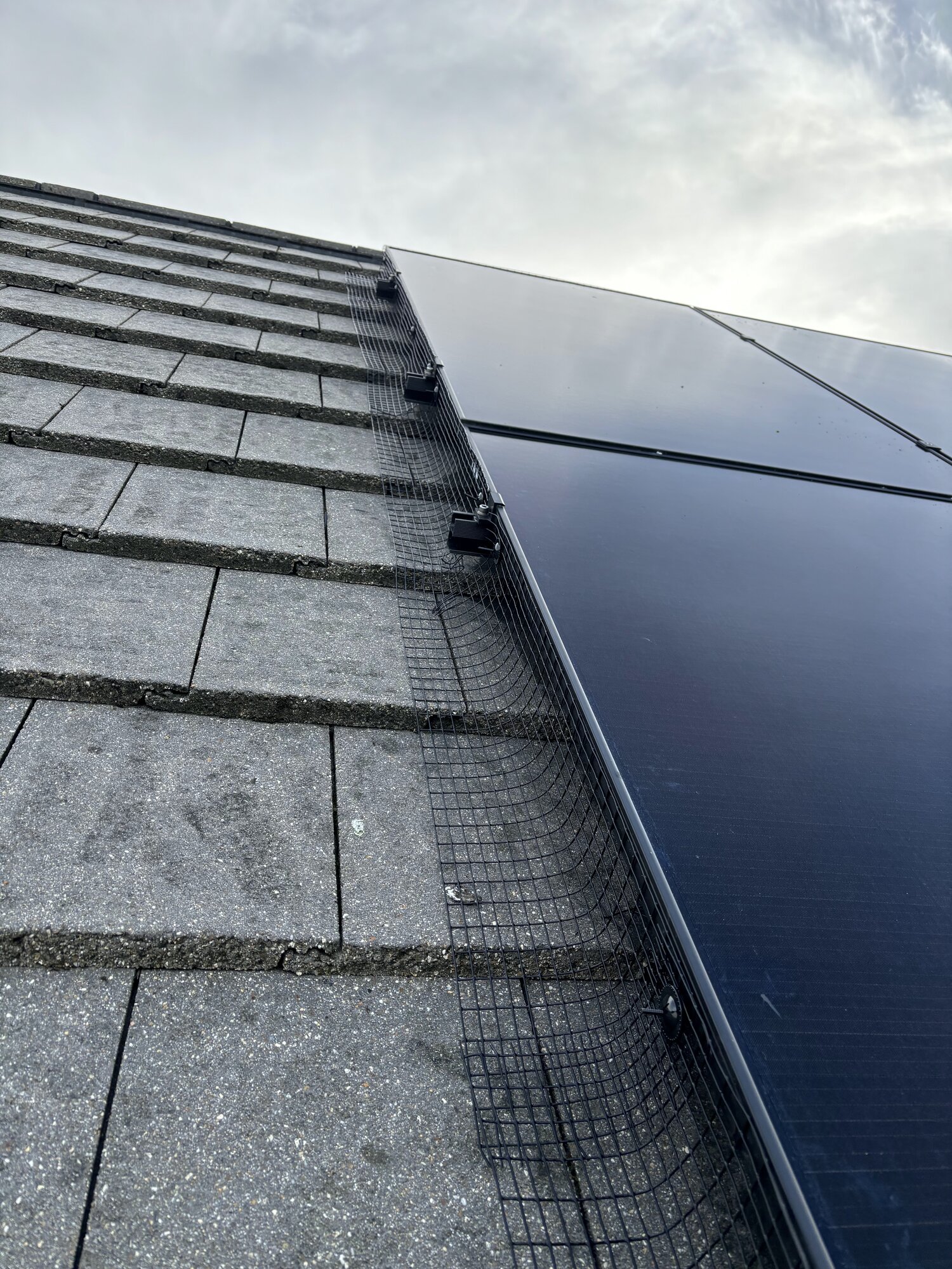 Images MM Roof Cleaning Services (MMRCS)