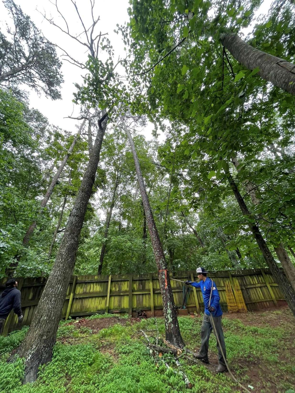 Elite Envisions Landscaping Image