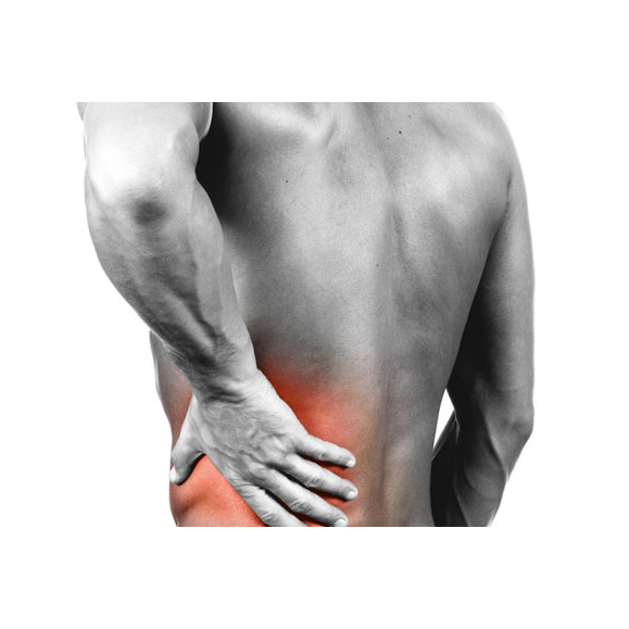 Bellonzi Chiropractic