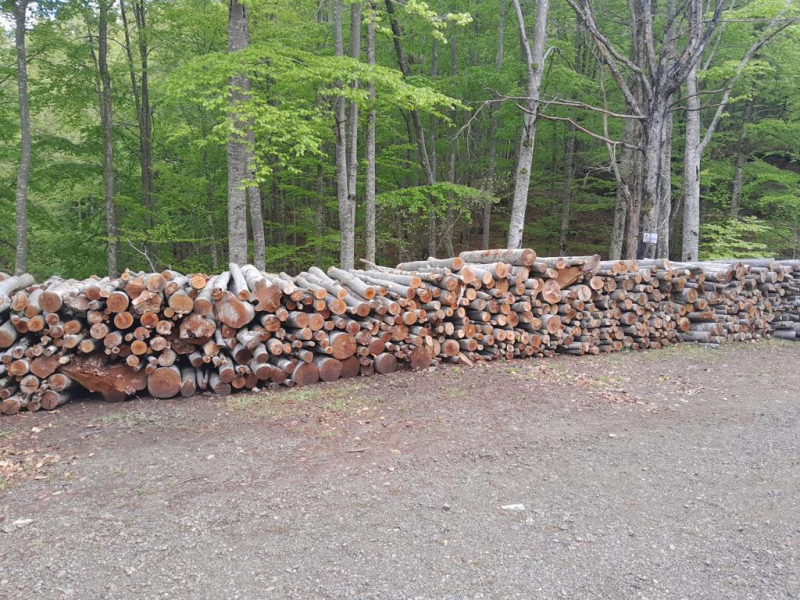 Images Il Maestro del Fuoco - Legna da Ardere Senago