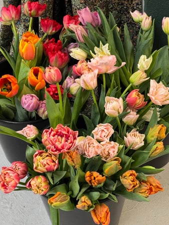 Images Blooms Collective