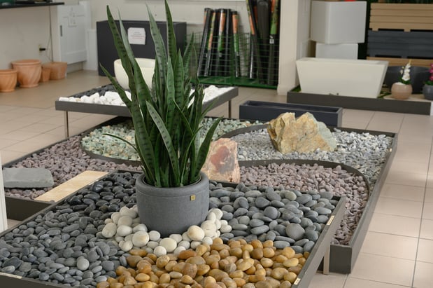 Images Olimar Stone - Miami