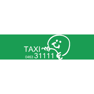Taxi 31 111 Logo