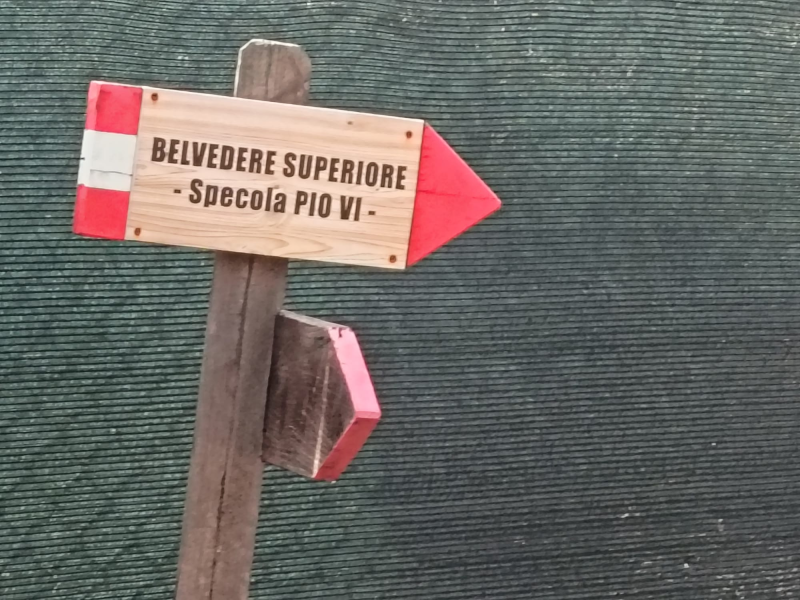 Images Trattoria da Ersilia