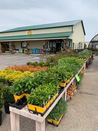 Images S & H Nursery