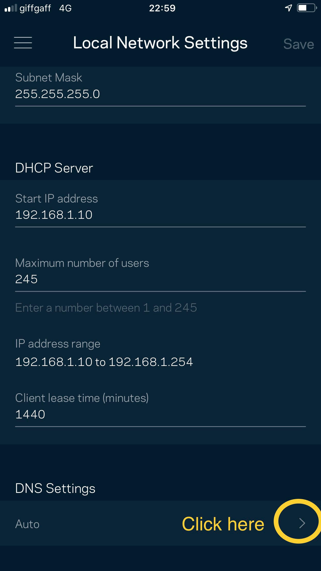 DNS settings